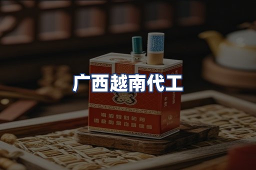 广西越南代工